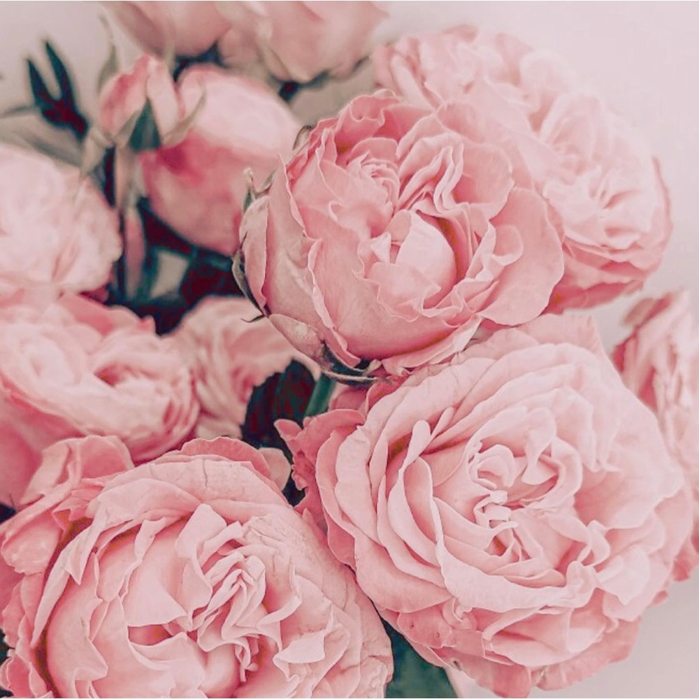 HOST PICK❤️Maternity Comfy, Bootcut Jeans guaranteed to stay put over belly❣️ - Picture 11 of 13